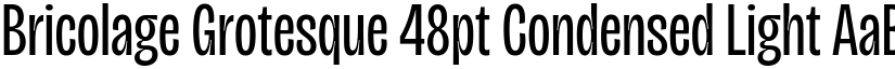 Bricolage Grotesque 48pt Condensed Light font