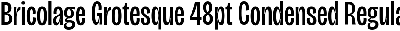 Bricolage Grotesque 48pt Condensed Regular font