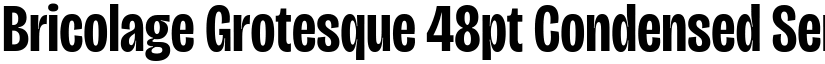 Bricolage Grotesque 48pt Condensed SemiBold font