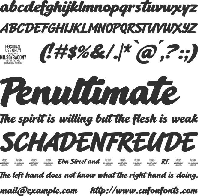 Bacony Script PERSONAL USE font preview