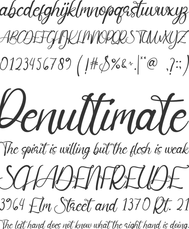 Boho Christmas font preview