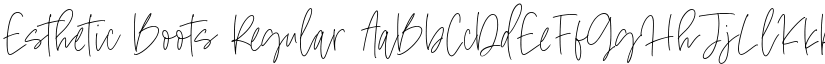 Esthetic Boots font download
