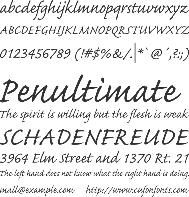 Caflisch Script Pro font preview.