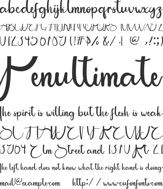 Birthday Signature font preview
