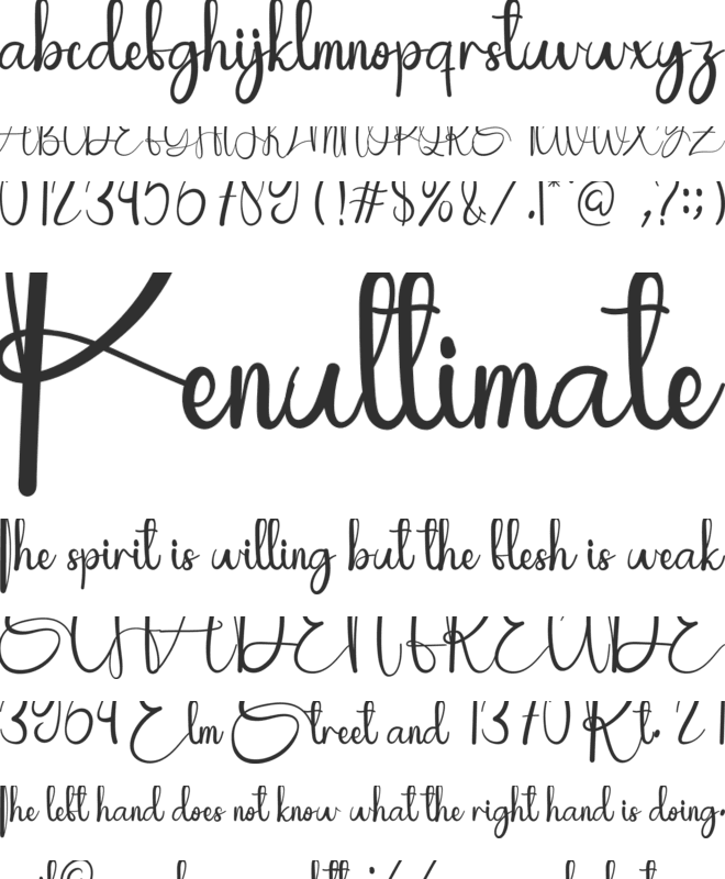 Night Paradise font preview
