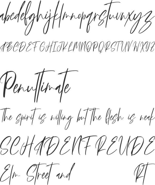 Augustin font preview