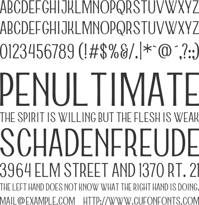 Windsor font preview