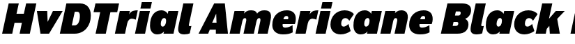HvDTrial Americane Black Italic font