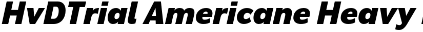 HvDTrial Americane Heavy Italic font
