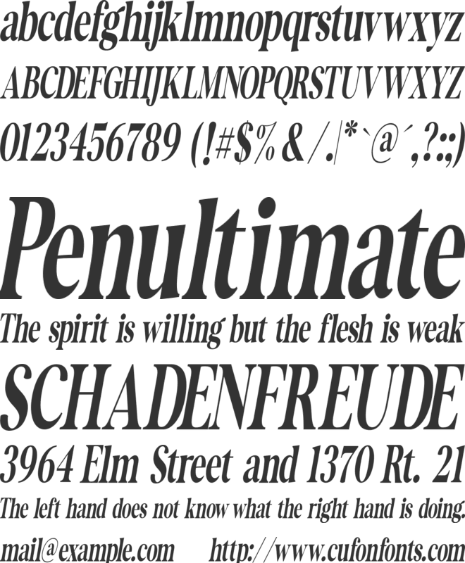 The Documentary Condensed Itali font preview