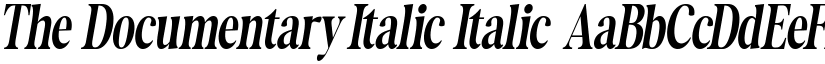 The Documentary Italic Italic font