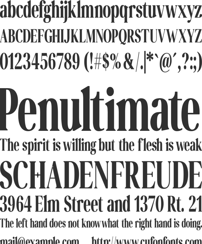 Perfectly Nostalgic Condensed B font preview
