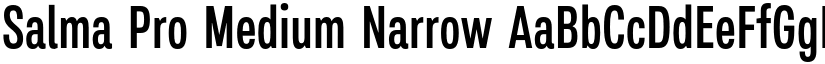 Salma Pro Medium Narrow font