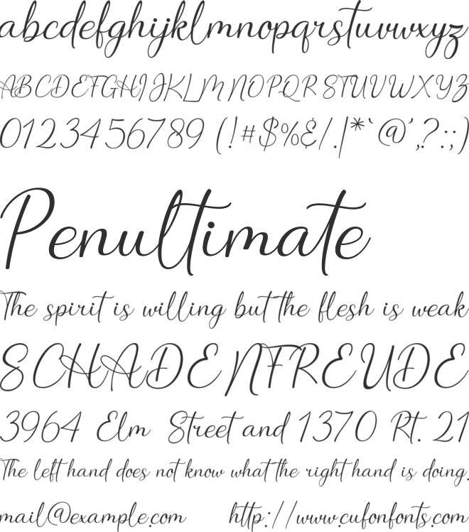 daylin font preview