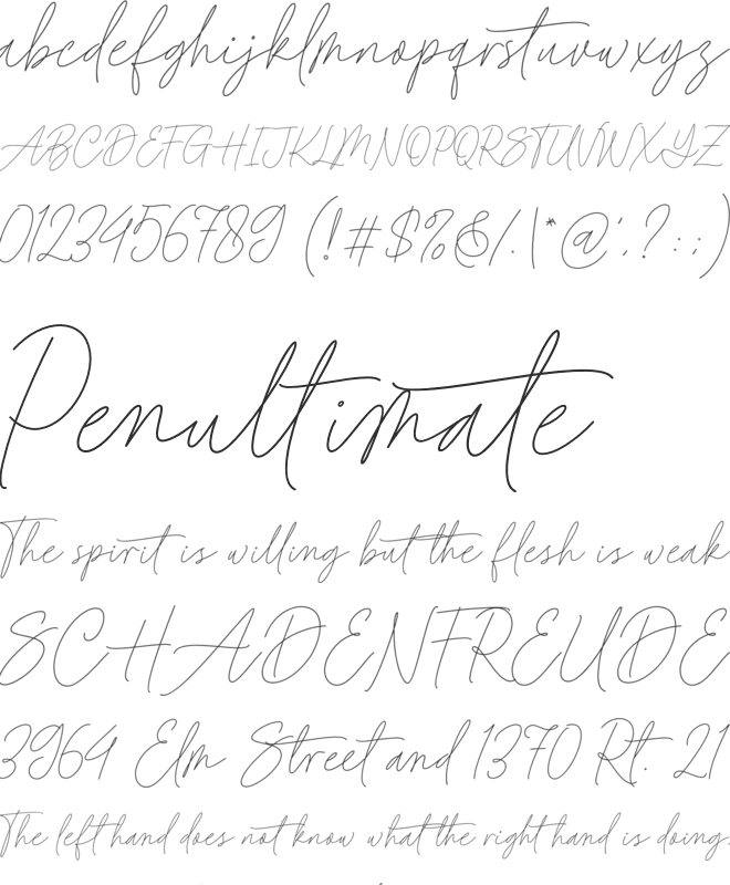 Baked Salmon font preview