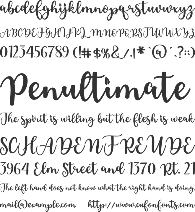 Blushine font preview