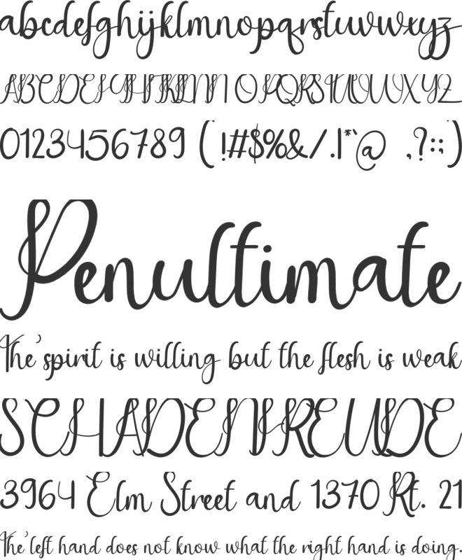 Baby Bear font preview