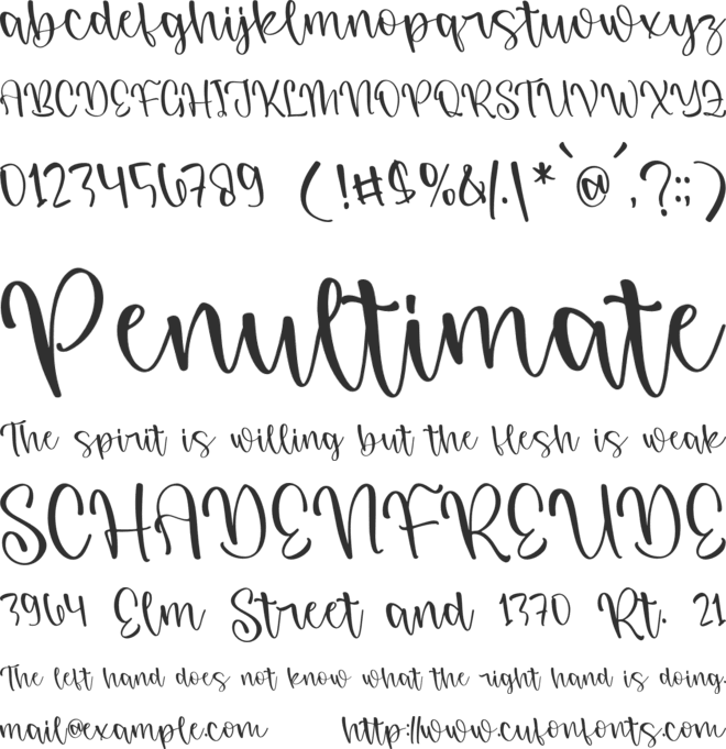 Madhony Charlotte font preview
