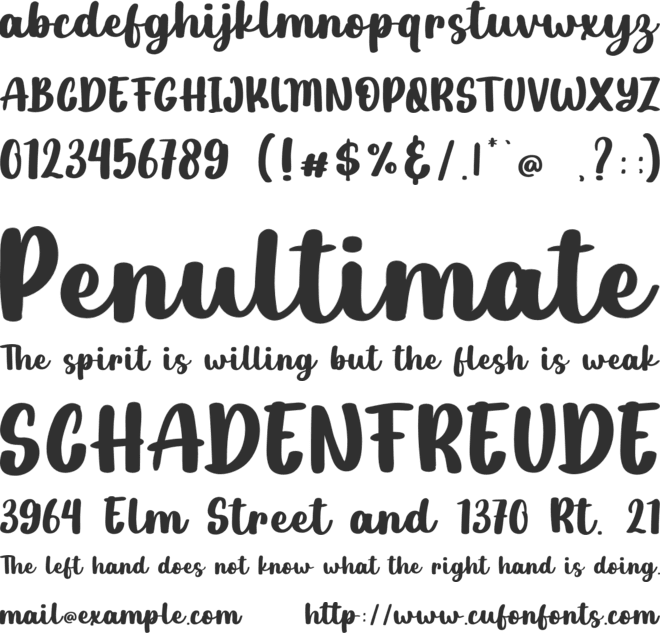 Only Believe font preview