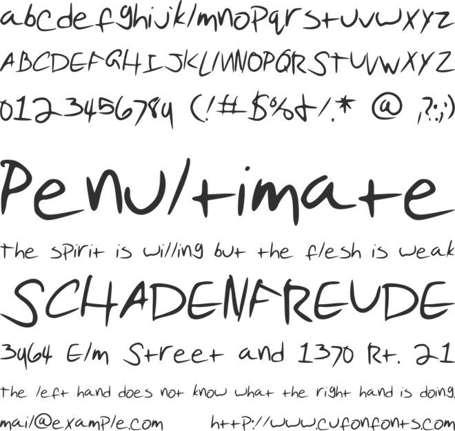 Pudding Script font preview