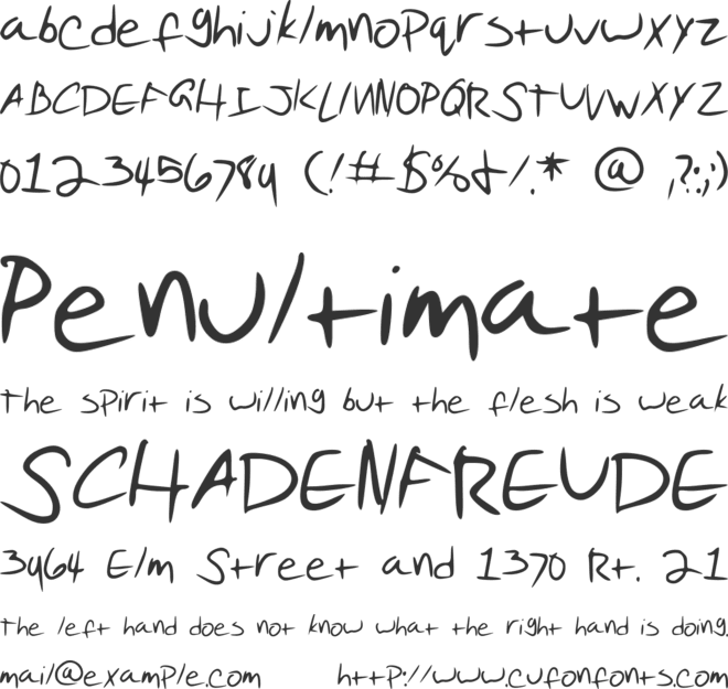 Pudding Script font preview