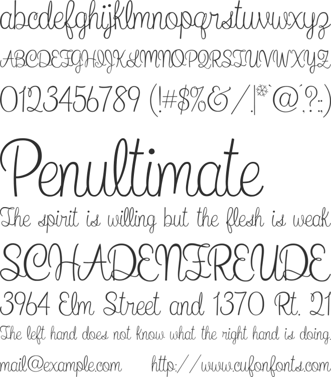 What I Want For Christmas font preview