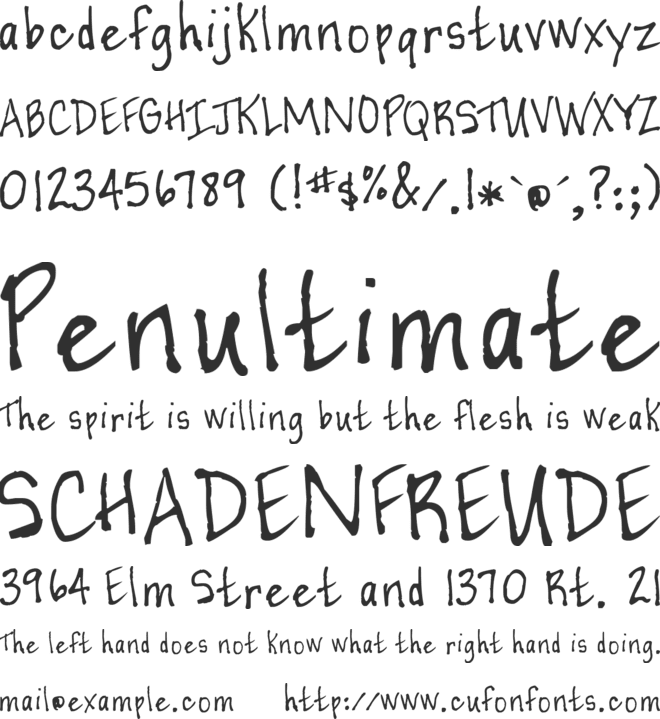 Casual Perfectionist font preview