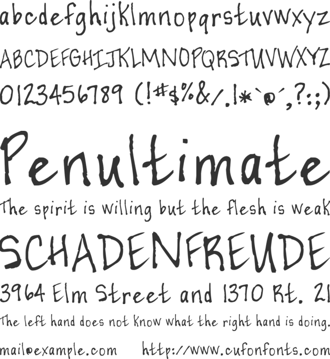 Casual Perfectionist font preview