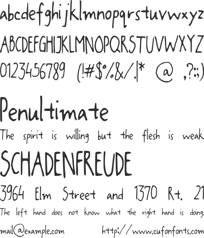 JaniceHand font preview