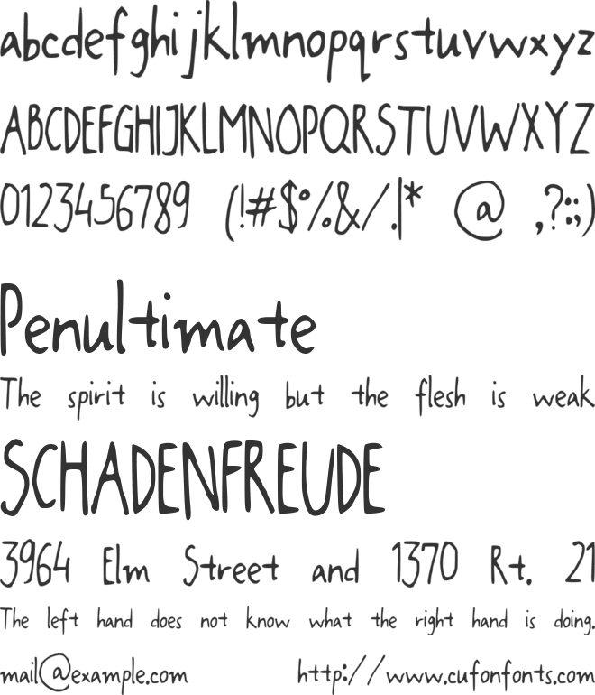 JaniceHand font preview