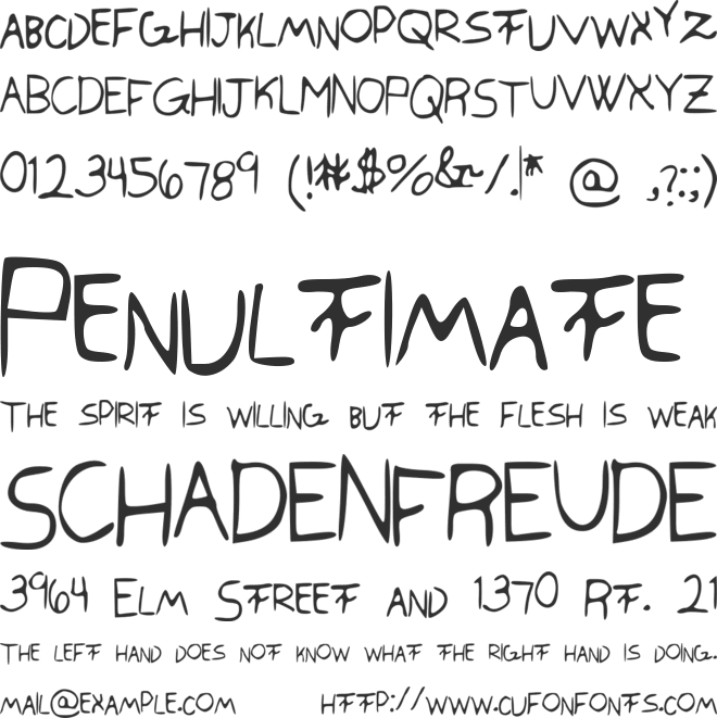 SwaggerCapitals font preview