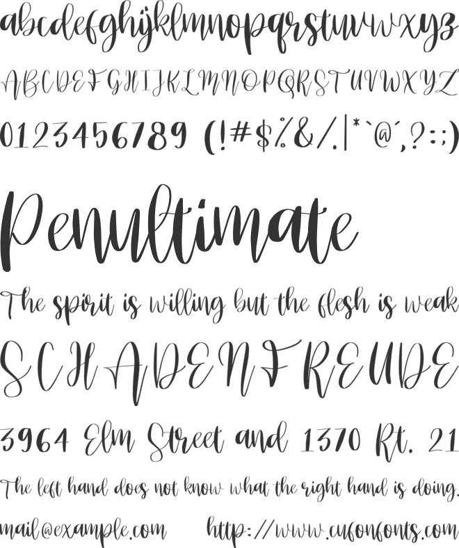 Brownies_Script font preview