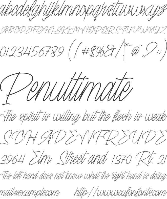 Grace Moretza font preview