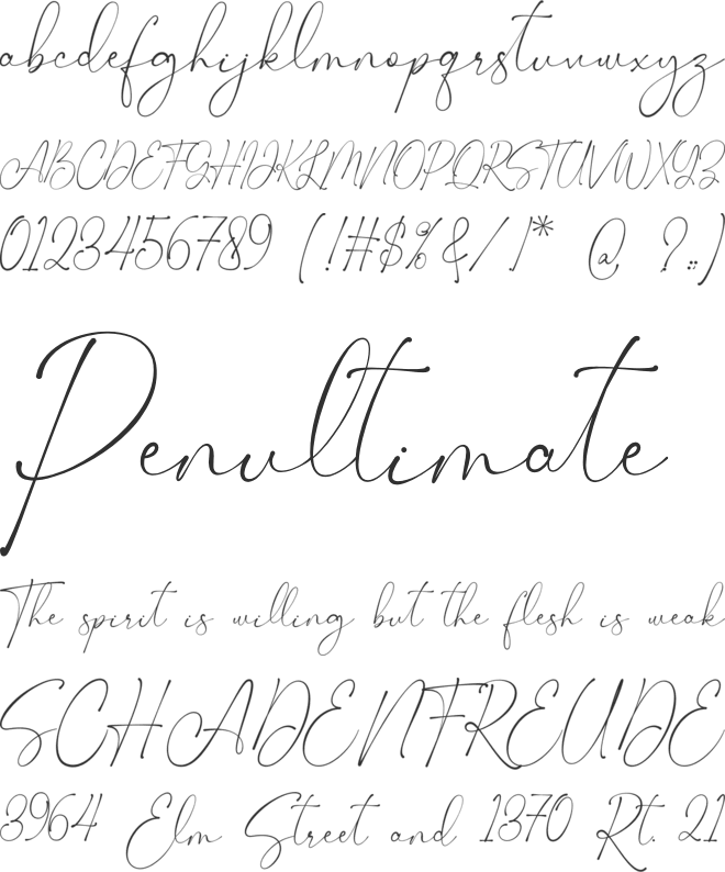 Leontyne Signature font preview