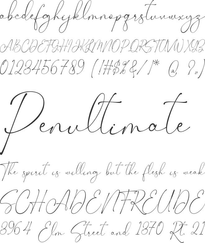 Leontyne Signature font preview