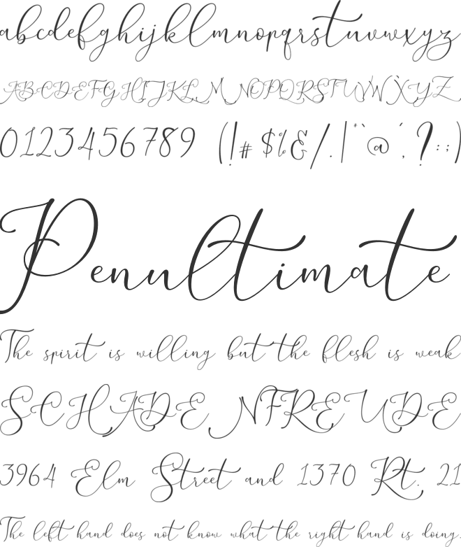 melnychuk font preview