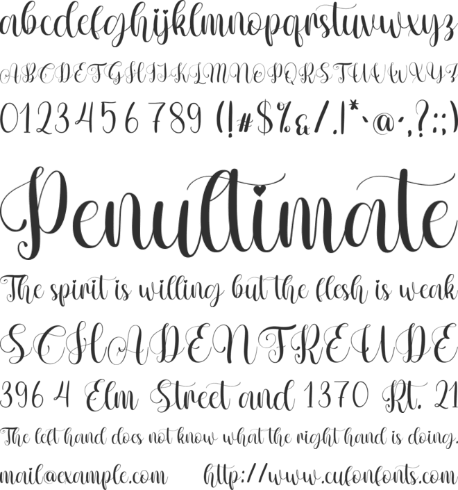 Amour font preview