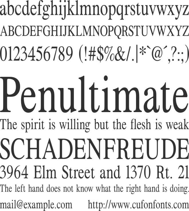 ZT Formom font preview