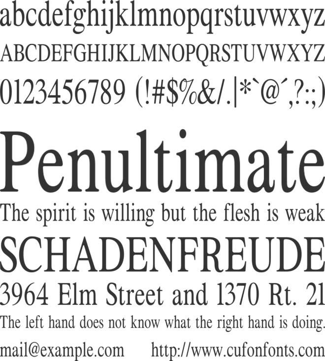 ZT Formom font preview