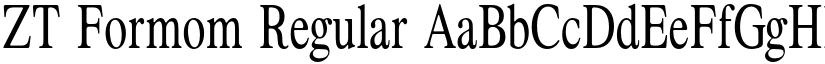 ZT Formom Regular font