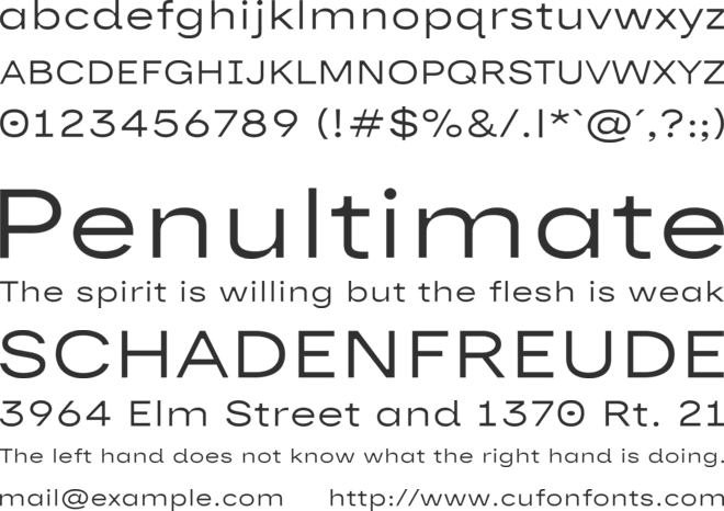 Rue Sans Expanded font preview