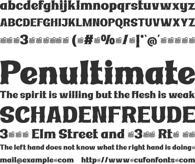 Ridasbin Trial font preview