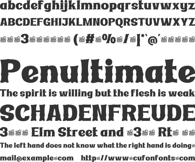 Ridasbin Trial font preview