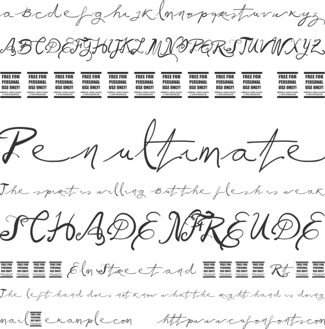 Vtks Ballerina font preview