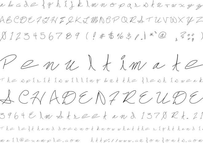 FrankDrebon font preview