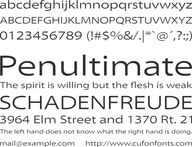 Ram Sans Expanded font preview
