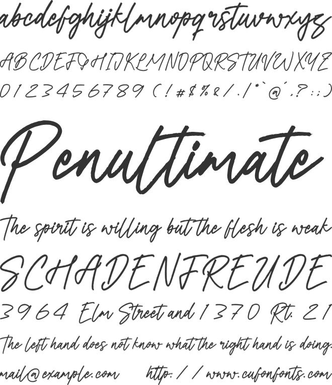 Betsy Gilbertos font preview