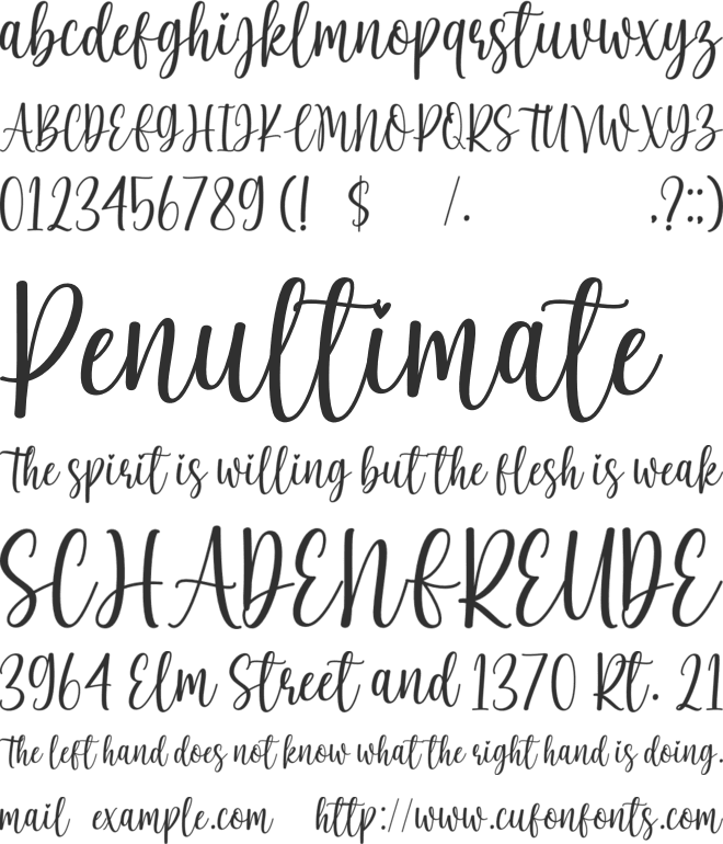 Charlie-personal use font preview