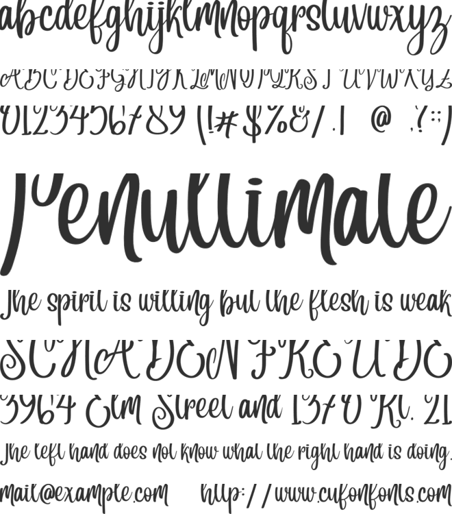 Angelina font preview