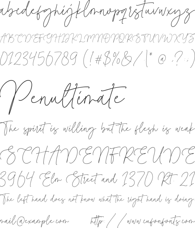 Magenta Basket font preview